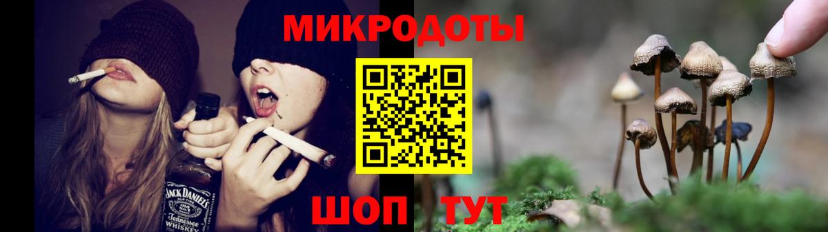 Псилоцибиновые грибы Cubensis  Вход с VPN  Ахтубинск 